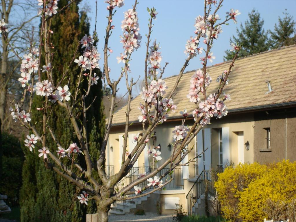 Les Communs Du Manoir Apartment Ecully Exterior photo
